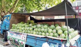 方便卖瓜 吃瓜,揭秘网络热词背后的文化现象