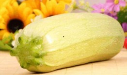 吃角瓜种,从播种到收获的绿色之旅