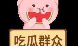 吃瓜群众聊天图片,一场趣味横生的网络盛宴