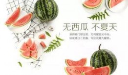 趣味吃瓜活动内容介绍,一场舌尖上的狂欢体验