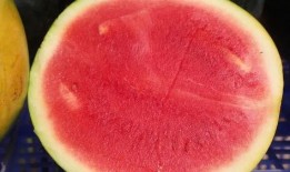 静雯吃瓜,揭秘娱乐圈背后的那些事儿