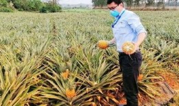 吃瓜群众猜测问题,吃瓜群众热议的明星幕后真相