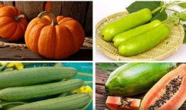 立秋吃瓜几点吃,揭秘最佳吃瓜时间