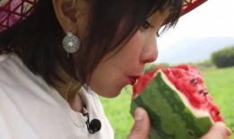 静雯吃瓜,揭秘娱乐圈背后的那些事儿