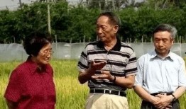 创始人吃瓜,揭秘创业背后的酸甜苦辣