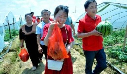 吃瓜工人笑开颜,揭秘瓜农丰收背后的喜悦瞬间