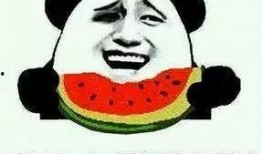 吃瓜群 爆料,揭秘娱乐圈惊人内幕