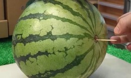 山东吃瓜情报,揭秘当地特色美食与民间趣事