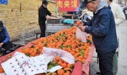 吃瓜济南姚家,吃瓜群众的美食聚集地探秘