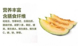 周二吃瓜图片,一场视觉盛宴的吃瓜之旅