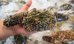 昆工解封吃瓜,校园生活重启，热议不断