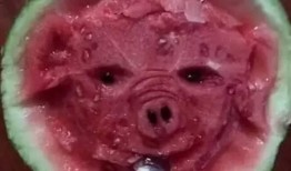 boom吃瓜艺术,揭秘网络时代的趣味与讽刺