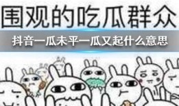 抖音吃瓜会员,揭秘网红圈幕后故事