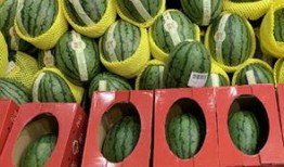 卖瓜的吃瓜女,吃瓜女生笑谈瓜界风云