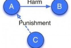 网络吃瓜理性,理性看待网络舆论的狂欢与反思