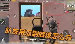 吃鸡呆瓜视频大全,带你领略欢乐无限