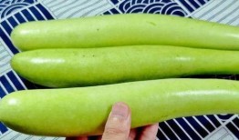 吃瓜指什么,网络热词背后的文化现象