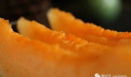 吃的很认真瓜,探寻美食中的专注与享受