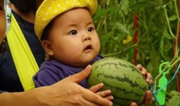 吃瓜群小,揭秘网络社交圈的趣味与争议