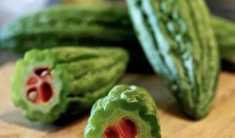 青蛙礼服路边吃瓜,街头吃瓜引发的时尚风波