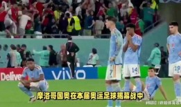 足球巴西美国比分分析,激战正酣，比分揭晓！