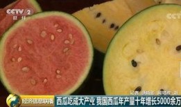 最近最大的吃瓜,揭秘明星幕后真相，揭秘事件背后惊人内幕