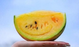 吃瓜吃到昆明,从街头小吃到昆明风情