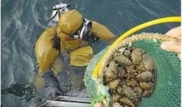 海森大姐吃瓜,海森大姐的瓜田奇遇记