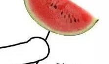 周二吃瓜图片,一场视觉盛宴的吃瓜之旅