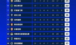 足球比分中奖领奖视频,见证中奖瞬间，共赏领奖荣耀