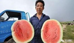 吃瓜强,揭秘娱乐圈背后的那些事儿