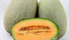 1周小孩吃哈密瓜,宝宝营养新选择