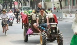 摆摊吃瓜群众怎么摆,街头市井的欢乐摆摊攻略