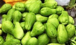 东东吃瓜合集,揭秘娱乐圈那些不为人知的幕后故事