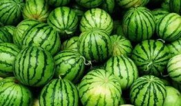 瓜弟吃瓜群群号,揭秘网络社交新潮流