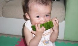 小猪吃瓜图,趣味盎然的田园生活瞬间