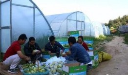 舟曲县吃瓜群众,吃瓜群众眼中的风土人情