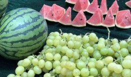 山东吃瓜情报,揭秘当地特色美食与民间趣事