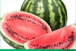 胃炎可以吃伏瓜不,伏瓜适宜胃炎患者食用