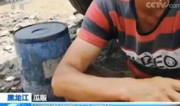 嘎嘎吃大瓜,揭秘娱乐圈的甜蜜与苦涩