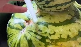 吃瓜搞笑视频合集,让你笑到肚子疼