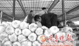 烟台城府吃瓜事件,一场网络舆论的风暴与反思