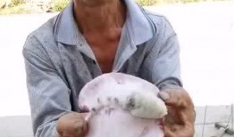 大叔吃瓜被隔离,一场吃瓜引发的“瓜事”