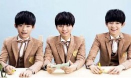 吃瓜tfboys买票,吃瓜群众纷纷加入购票大军