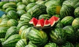 吃瓜两个瓜,揭秘吃瓜背后的故事与趣味