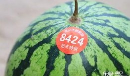 吃瓜群众周口,吃瓜群众视角下的城市生活剪影