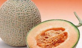 两岁半常吃哈密瓜好吗