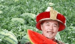 吃瓜怪何某,一场网络狂欢背后的真相