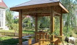 广职凉亭吃瓜视频,校园生活趣味瞬间