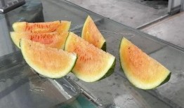 这个夏天吃瓜自由,尽享“吃瓜自由”的快乐时光